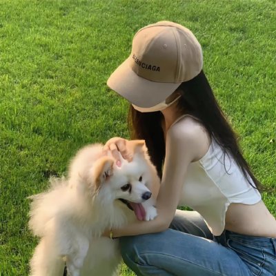 猫儿协奏曲