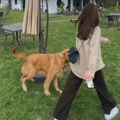 你第三季